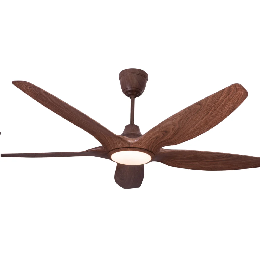 Acorn Luxury Fan - Image 2
