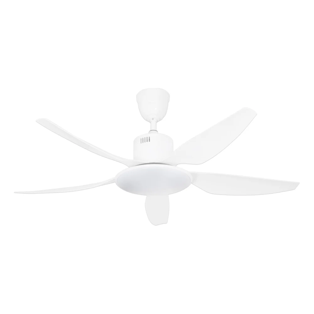 Falcon Luxury Fan - Image 2