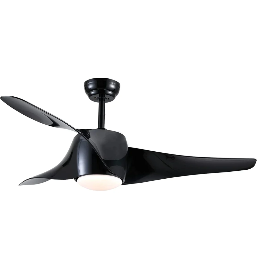 Iroko Black Luxury Fan - Image 2