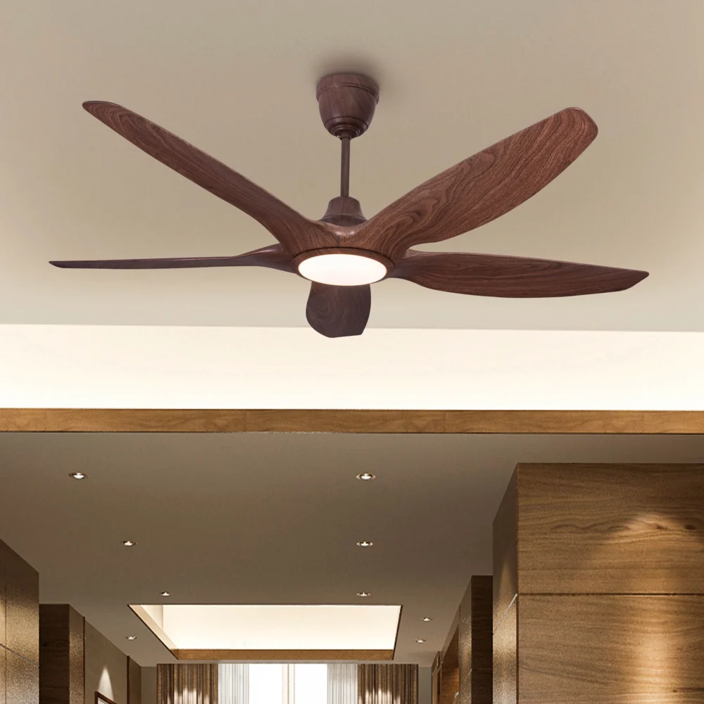 Acorn Luxury Fan - Image 3