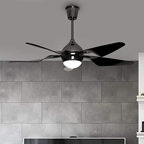 Cypher Luxury Fan