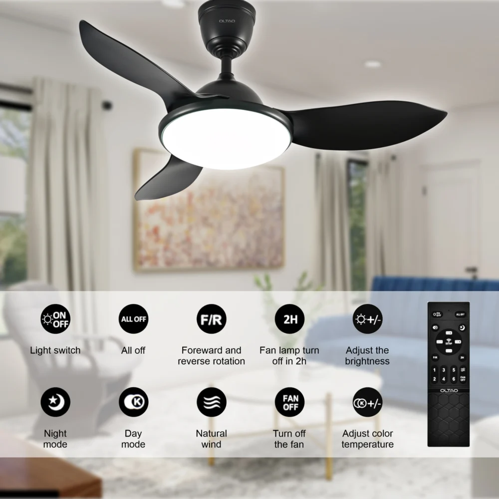 Phoebe Black Luxury Fan