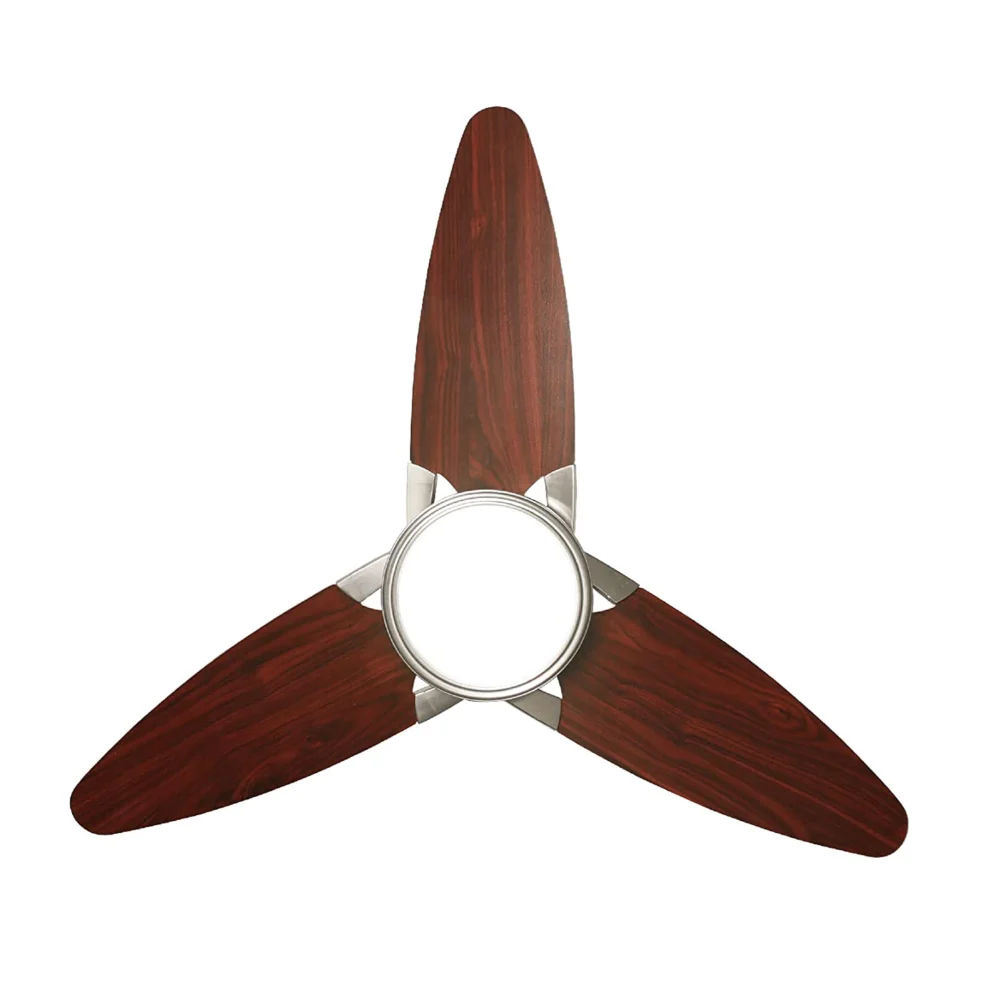 Jude Luxury Fan - Image 3