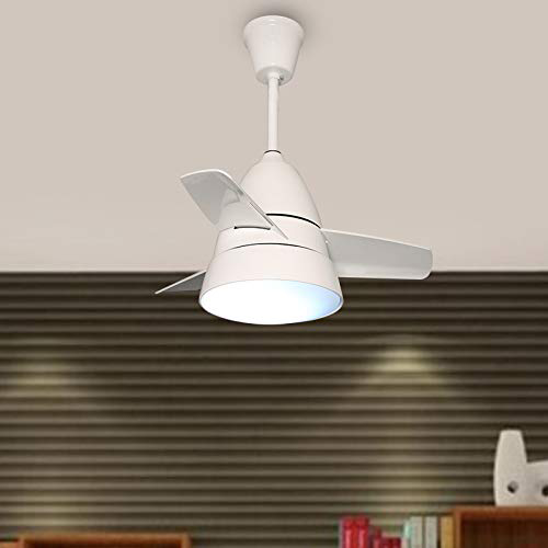 Poddle Luxury Fan