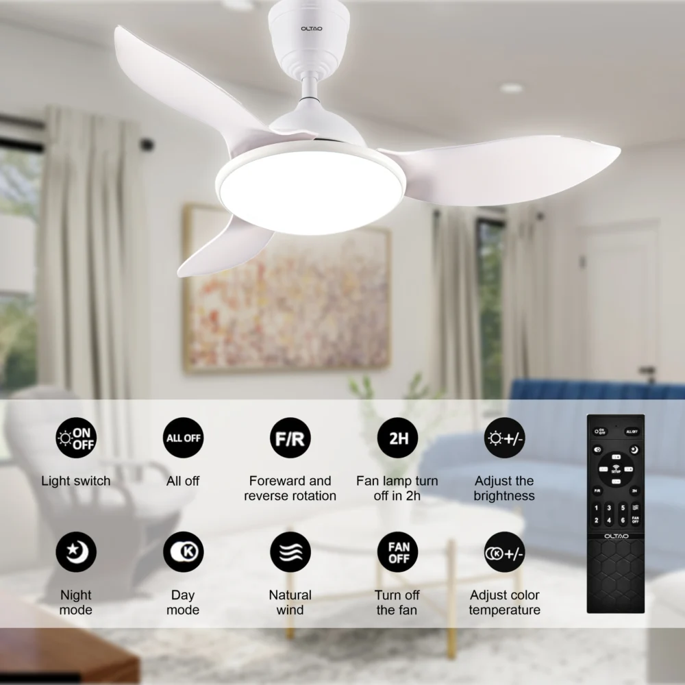 Phoebe White Luxury Fan