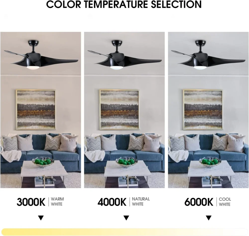 Iroko Black Luxury Fan - Image 4