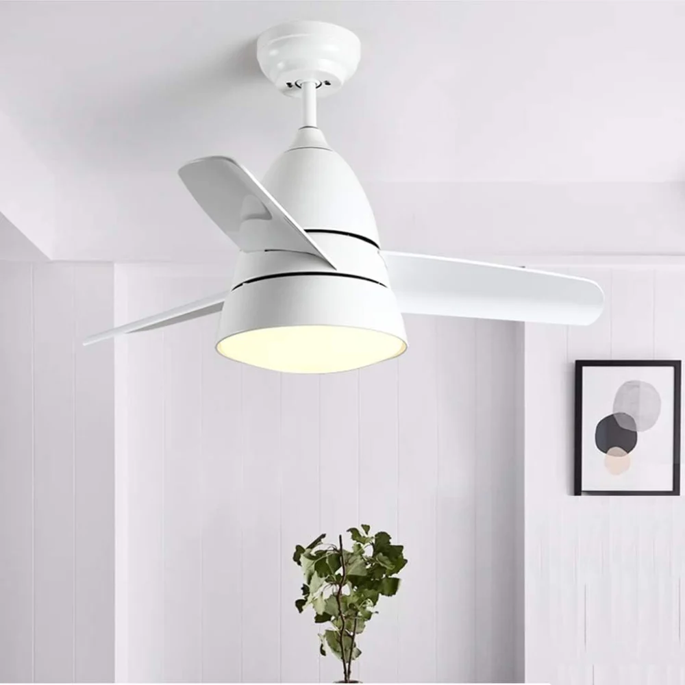Poddle Luxury Fan - Image 4