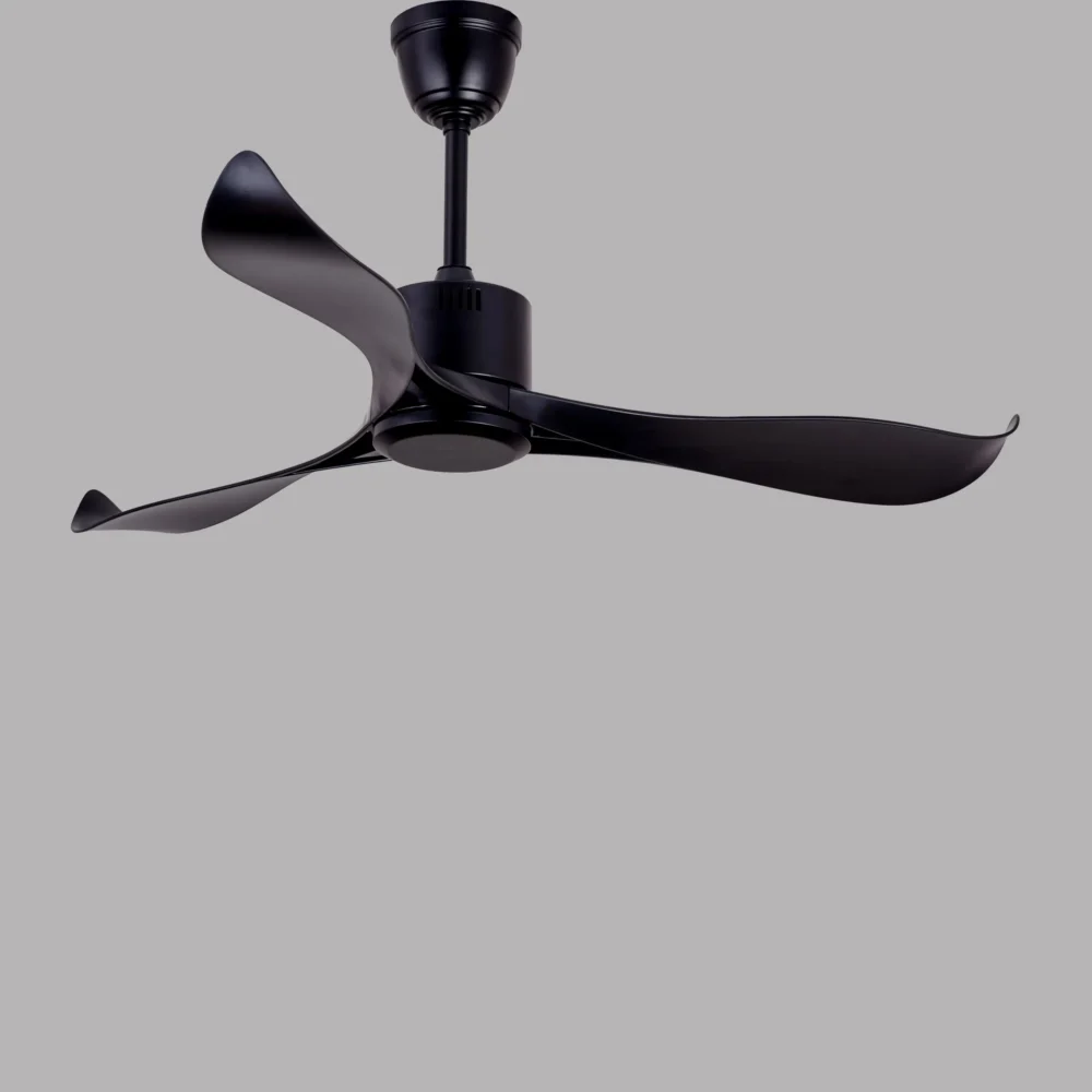 Albatross Black Luxury Fan - Image 5