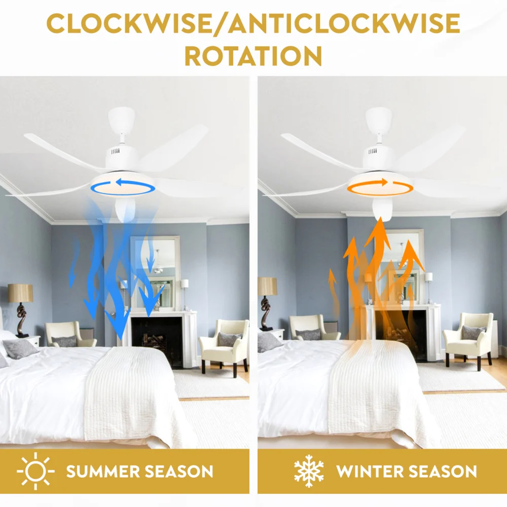 Falcon Luxury Fan - Image 4