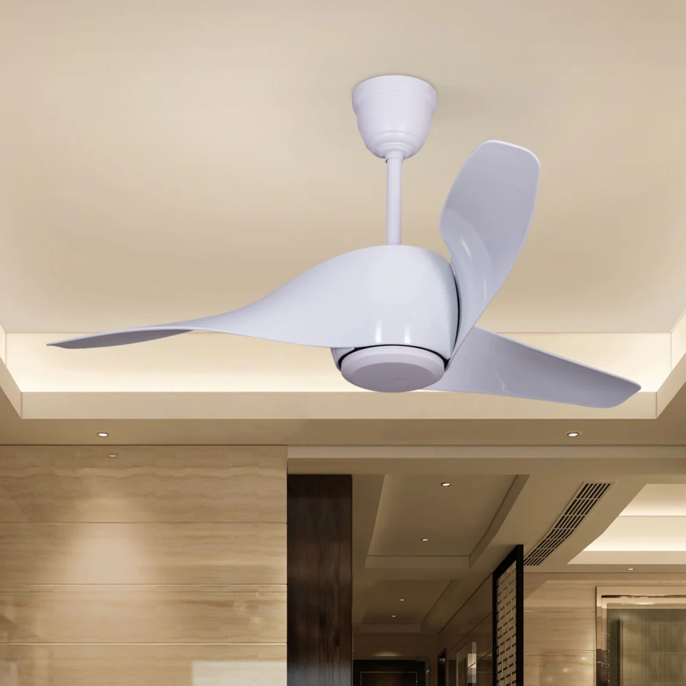 Iroko White Luxury Fan - Image 4