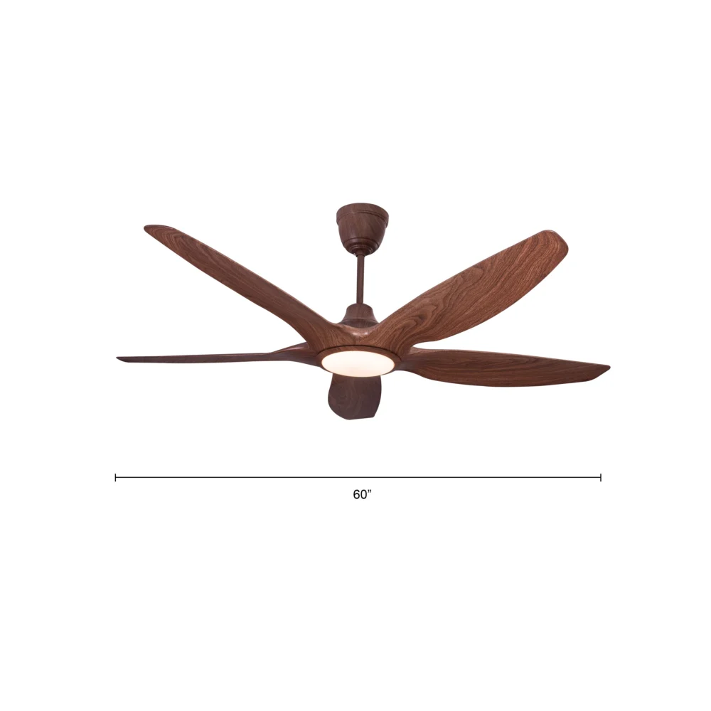 Acorn Luxury Fan - Image 4